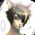 :iconandy-raven: