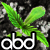:iconandybdrums: