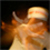 :iconandyemcee: