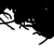 :iconandyhorror: