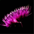 :iconandyklinger: