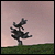 :iconandymueller:
