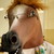 :iconandyuri: