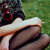 :iconandzia-malpa: