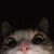 :iconandzia509: