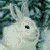:iconanecdotal: