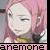 :iconanemone-chan: