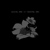 :iconanesthesia-7: