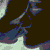 :iconanewdrug:
