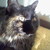 :iconanewkindofstalker: