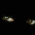 :iconAnfieldX: