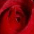 :iconange-dechu: