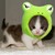 :iconangedelaube: