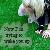 :iconangeeacid: