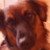 :iconangel-35: