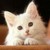 :iconangel-alex: