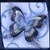 :iconangel-evonne: