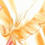 :iconangel-feather: