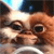 :iconangel-foxx: