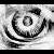 :iconangel-hybrid-001: