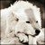 :iconangel-mylove: