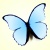 :iconangel-of-beauty: