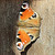 :iconangel-of-dragon: