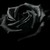 :iconangel-of-night-542: