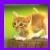 :iconangel-sixela:
