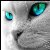 :iconangel2die4: