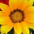 :iconangel77777771: