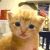 :iconangela-wong: