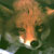 :iconangelaastadorian:
