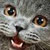 :iconAngelaHulken:
