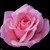 :iconangelbaby2609: