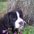 :iconangelbabyaz02: