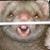 :iconangeldth: