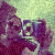 :iconangelhippy: