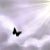 :iconangelic-ins0mniac-xo: