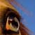 :iconangelic09: