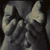 :iconAngelicatas: