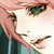 AngeliciousO3O :iconangeliciouso3o: