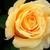 :iconangelicmousegirl: