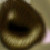 :iconangelicsong: