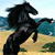 :iconAngelinafire: