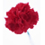 :iconangelinaphoto28: