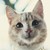 :iconangelinka-happy: