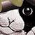 :iconangelkat-pawprints: