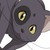 :iconangelkell: