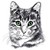 :iconangelkittenextreme: